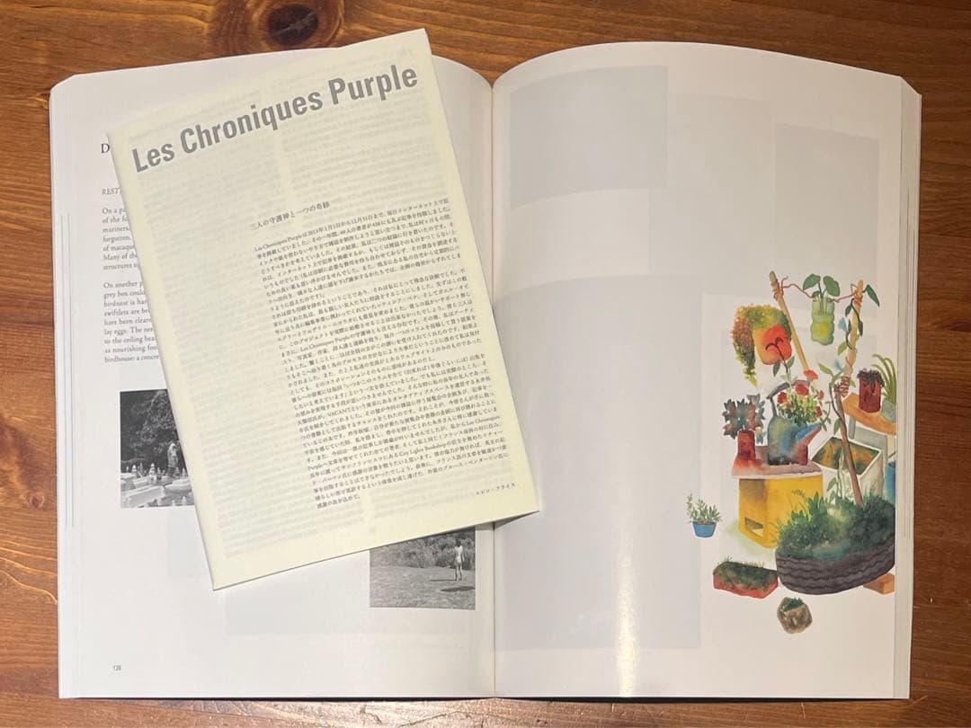 アート・デザイン・音楽 les chroniques purple Elein Fleiss