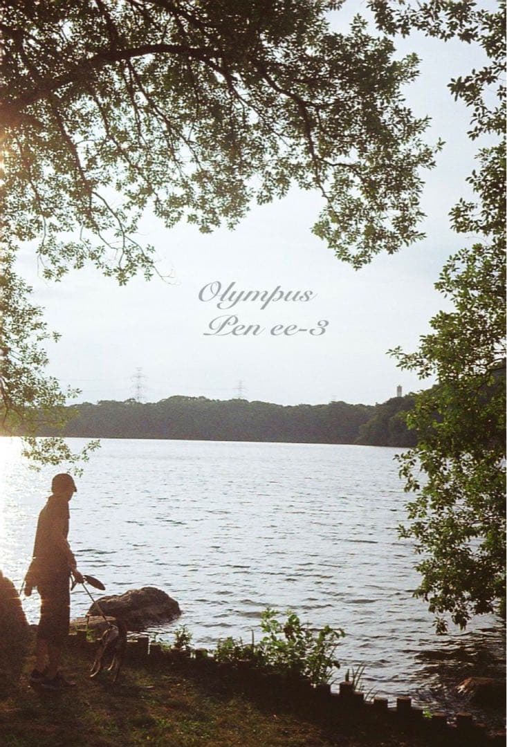 ★作例多数！★olympus pen ee3★完動・美品・赤ベロOK★入門に！