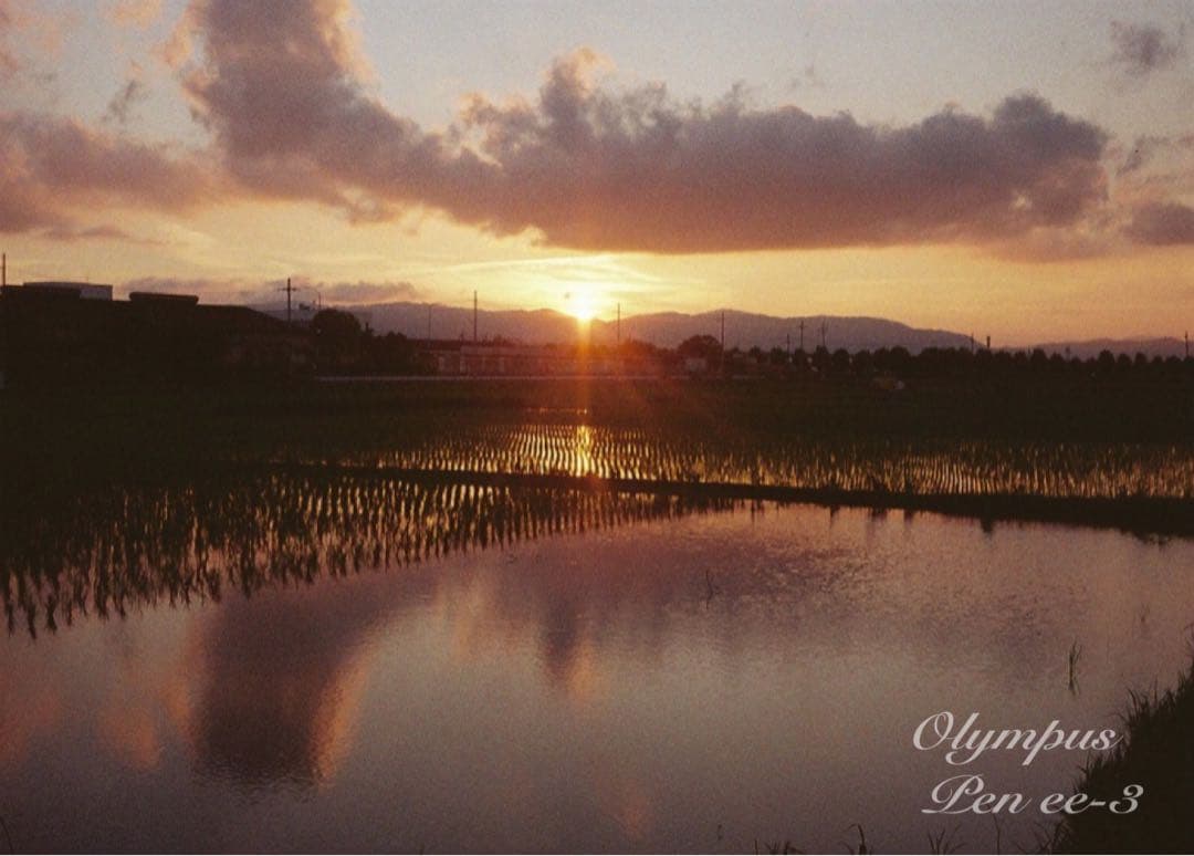 ★作例多数！★olympus pen ee3★完動・美品・赤ベロOK★入門に！