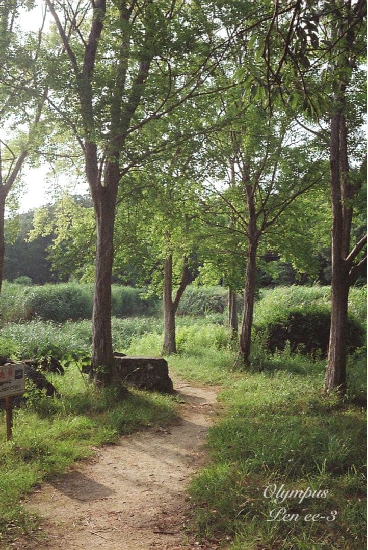 ★作例多数！★olympus pen ee3★完動・美品・赤ベロOK★入門に！