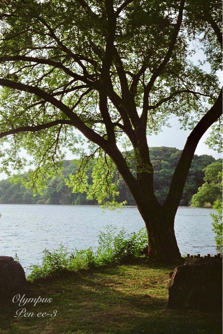 ★作例多数！★olympus pen ee3★完動・美品・赤ベロOK★入門に！