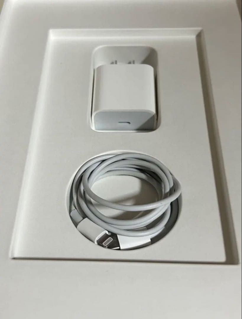 た*き様 iPad (第9世代) 64GBシルバー充電器付　Wi-Fiモデル　A