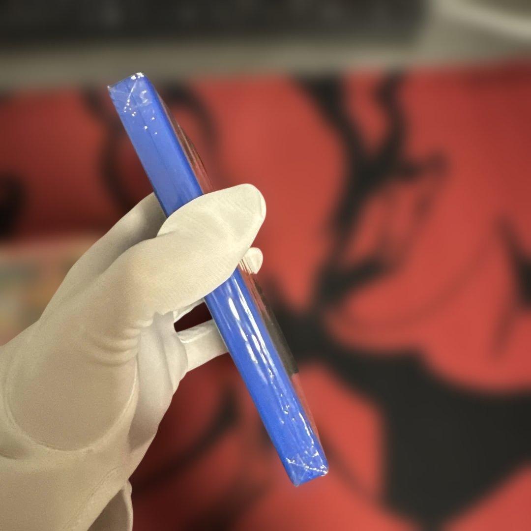 【新品未開封】2本セット ポケットモンスター オメガルビー アルファサファイア