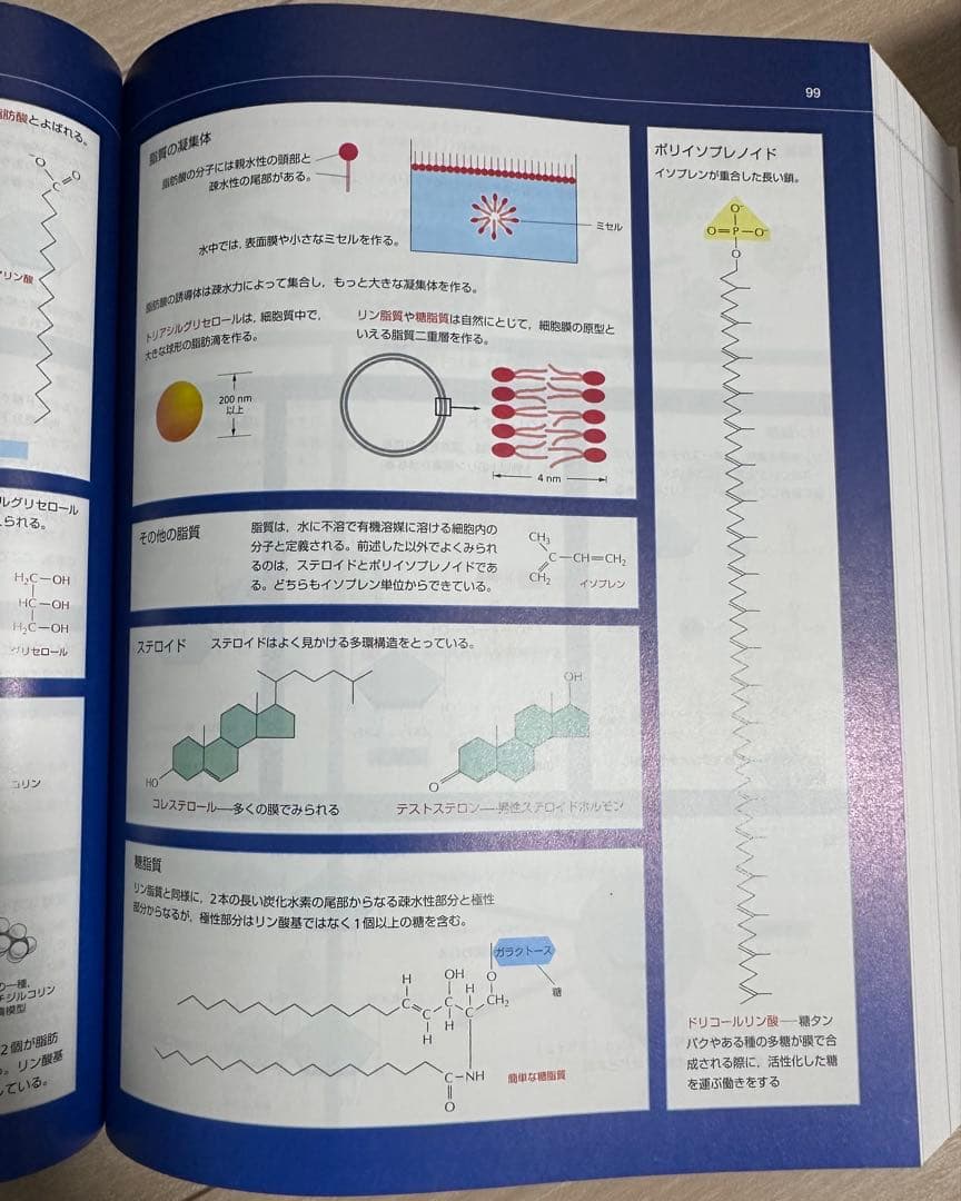 THE CELL 細胞の分子生物学 第6版