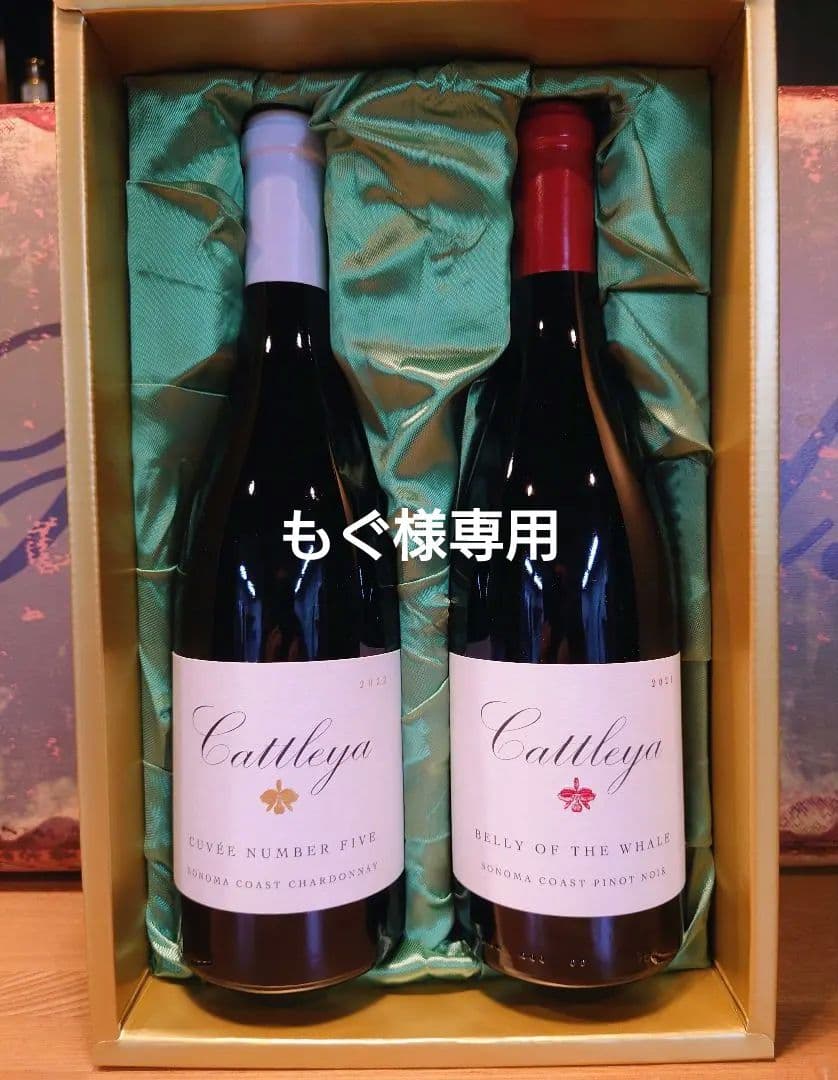 大特価‼️Cattelya ワイン2本セット 2021-2022