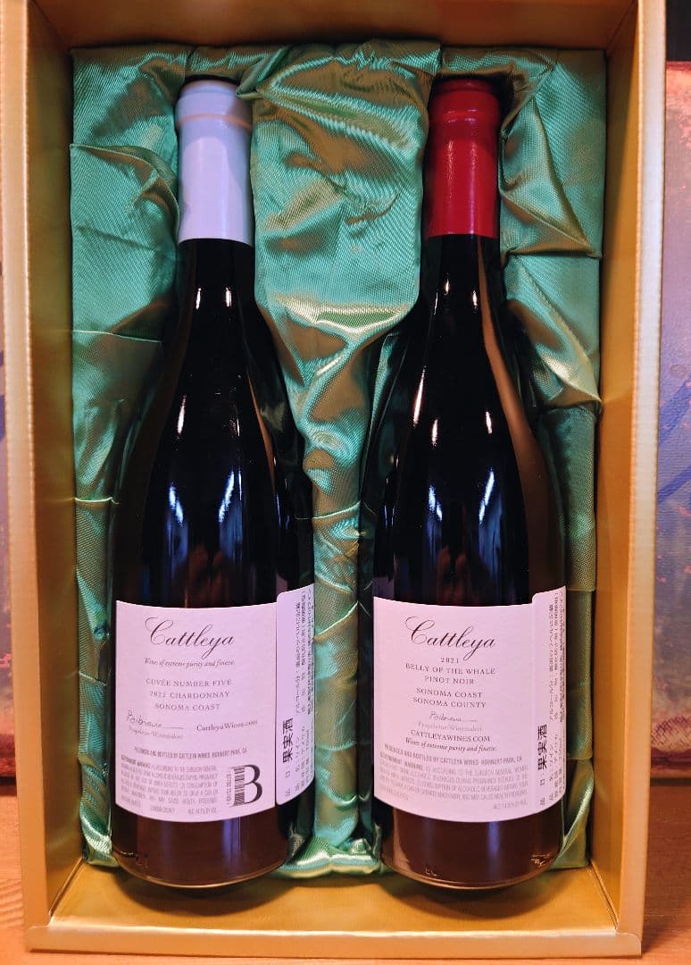 大特価‼️Cattelya ワイン2本セット 2021-2022