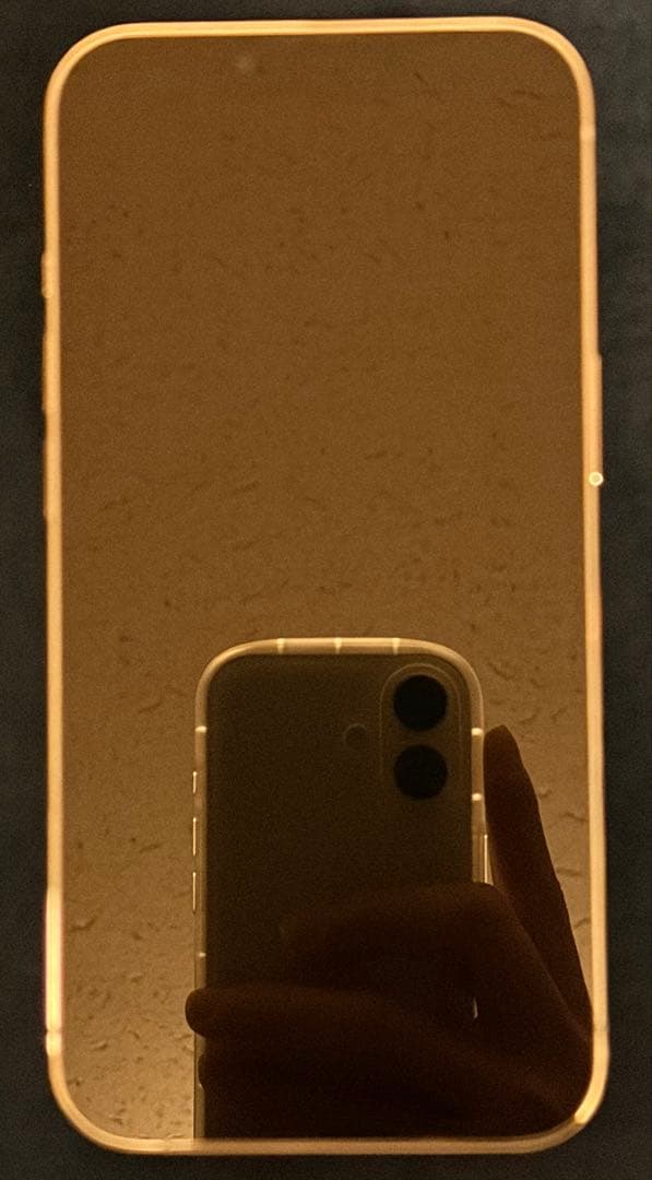 iPhone 13 Pro 256GB シルバー　SIMフリー