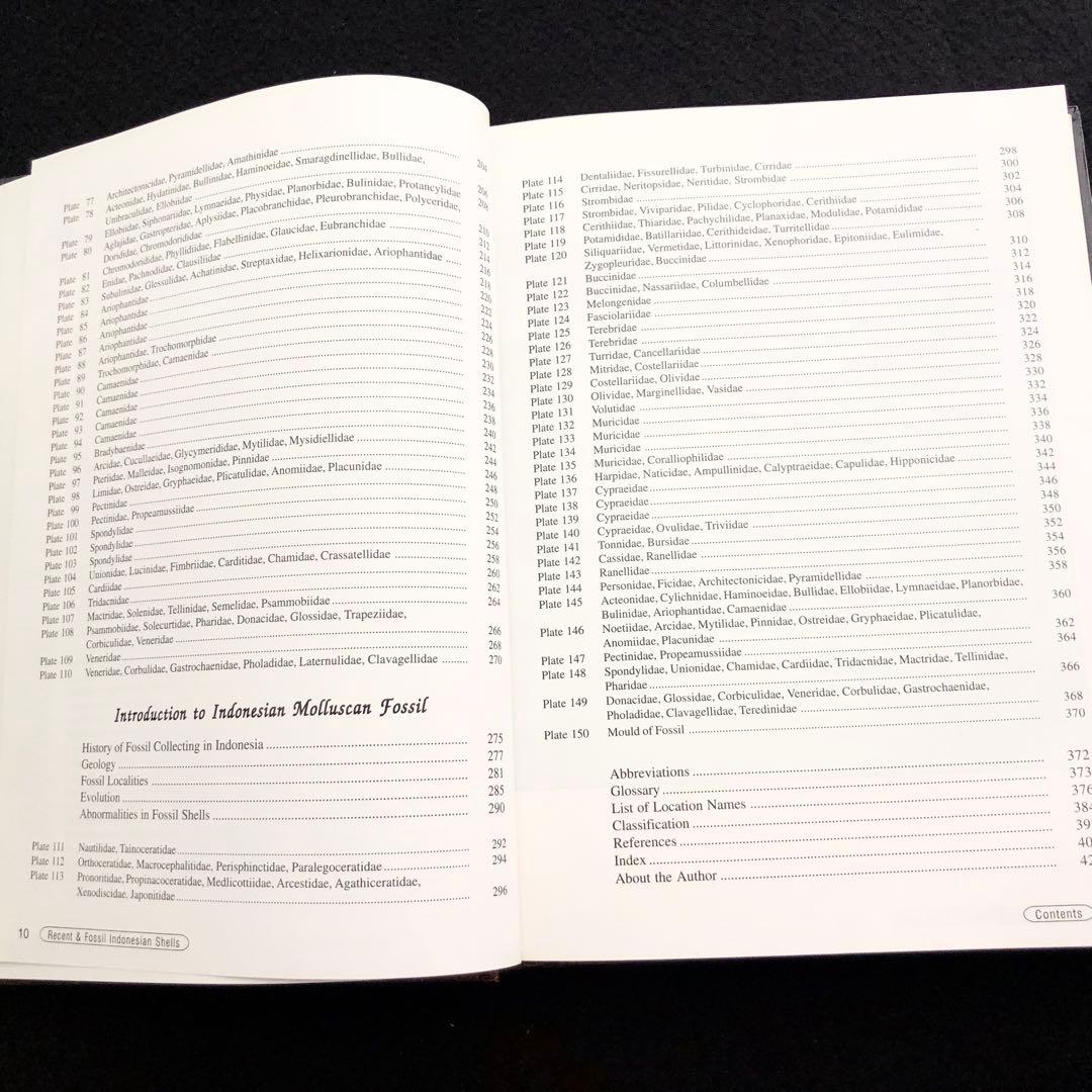 インドネシアの貝類と化石 図鑑「Indonesian Shells」