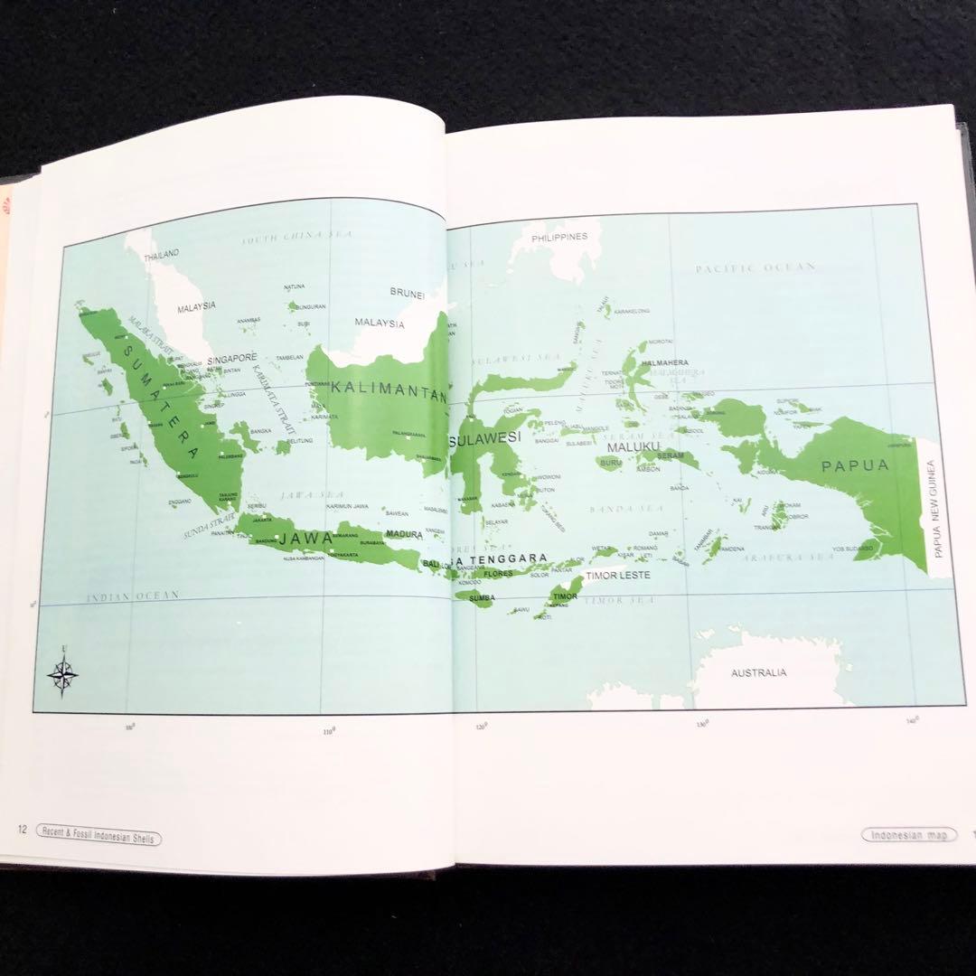 インドネシアの貝類と化石 図鑑「Indonesian Shells」