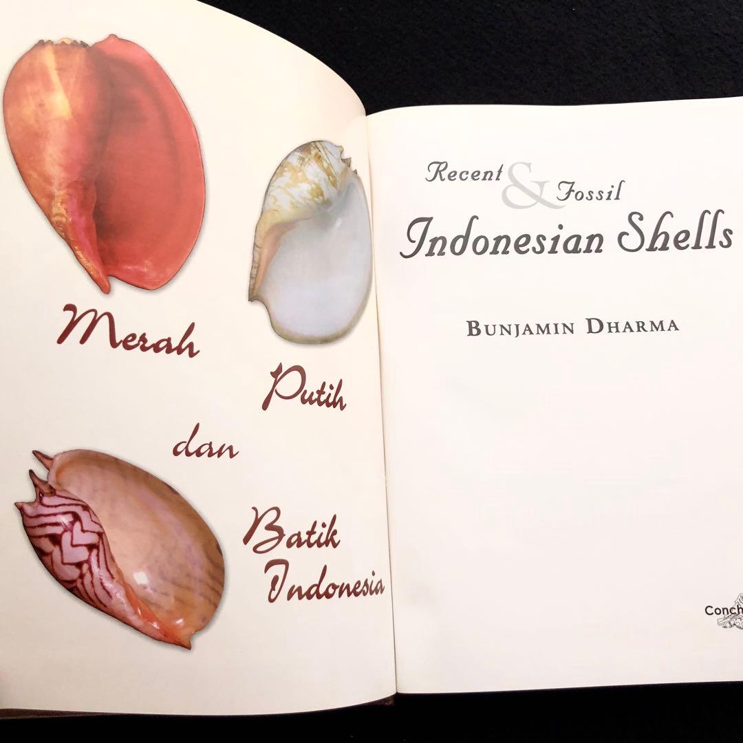 インドネシアの貝類と化石 図鑑「Indonesian Shells」