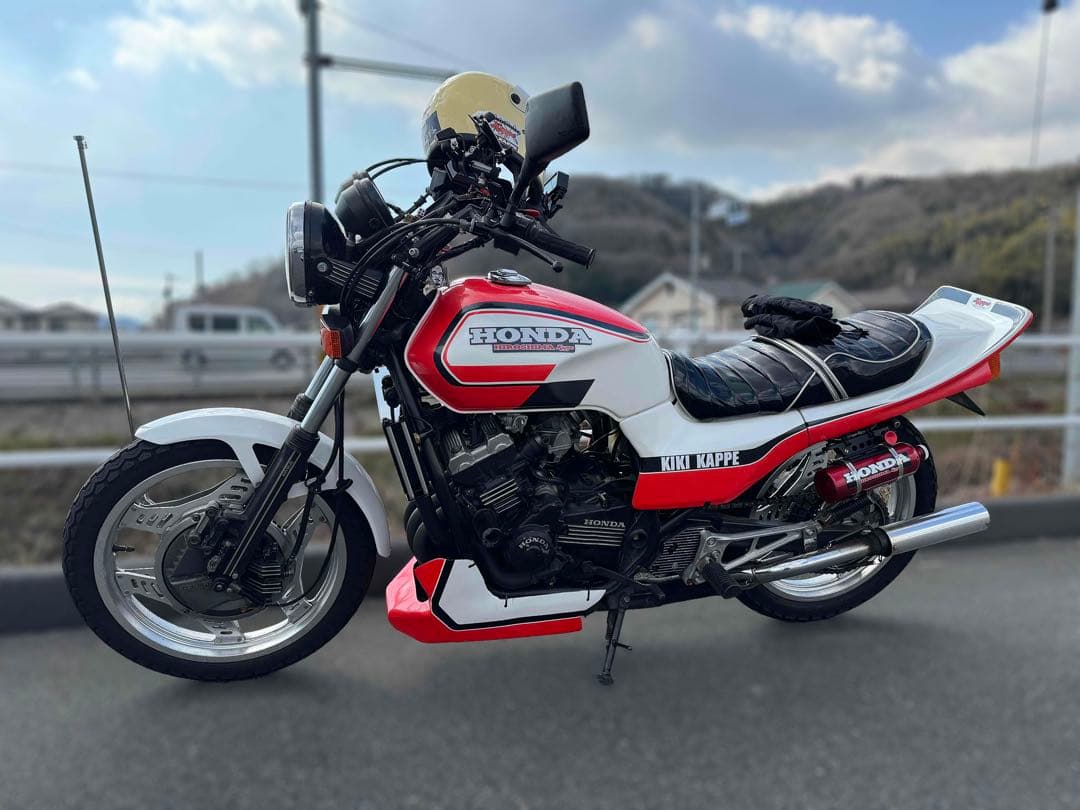 ラジエーターカバー　ジェイド250　オイルクーラー風　かっぺ　ブラック　パール入