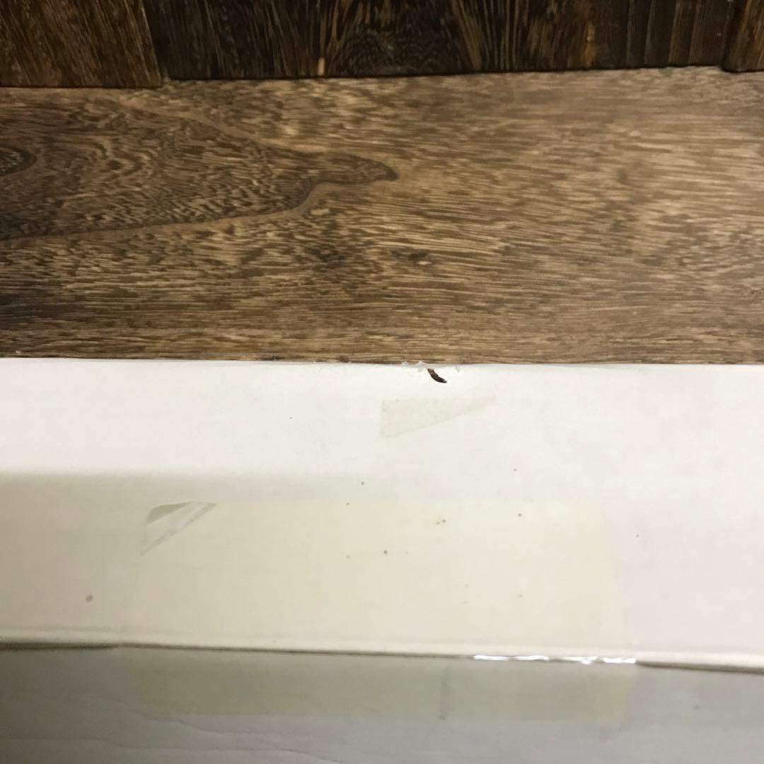 水曜スペシャル「川口浩 探検シリーズ」 川口浩探検隊 ～地底探検・洞穴編～ 初…