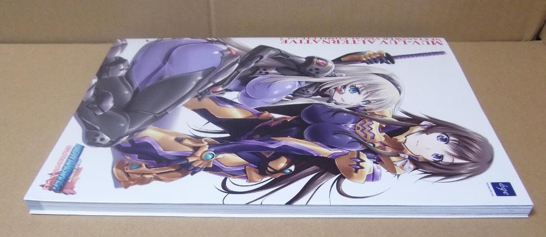 最終値下げ マブラヴオルタネイティヴ ネクストアンサー ビジュアルコンプリート