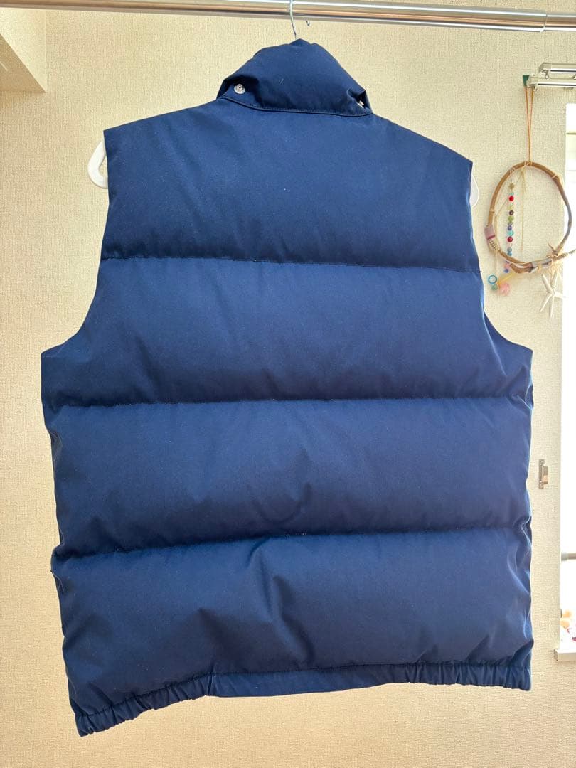 【美品】THE NORTH FACE パープルレーベルシエラ ダウンベスト L