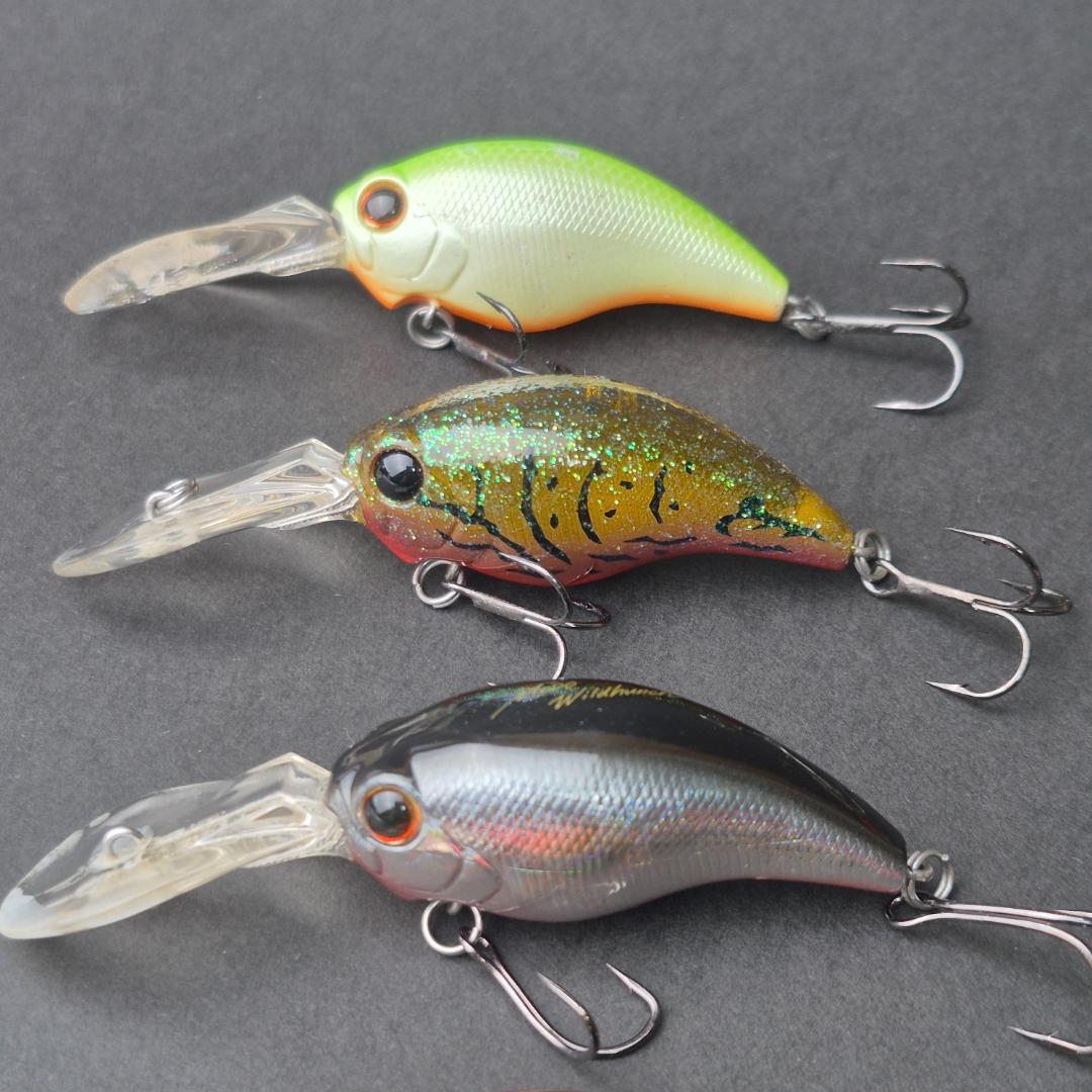 Evergreen MODO ワイルドハンチ 10個セット　a141-150