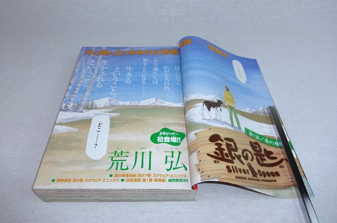 週刊少年サンデー2011年19号 銀の匙 新連載 荒川弘 付録未開封