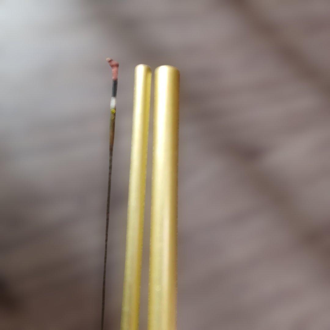 リ*ン様 ヘラ竿　DAIWA HERA X8