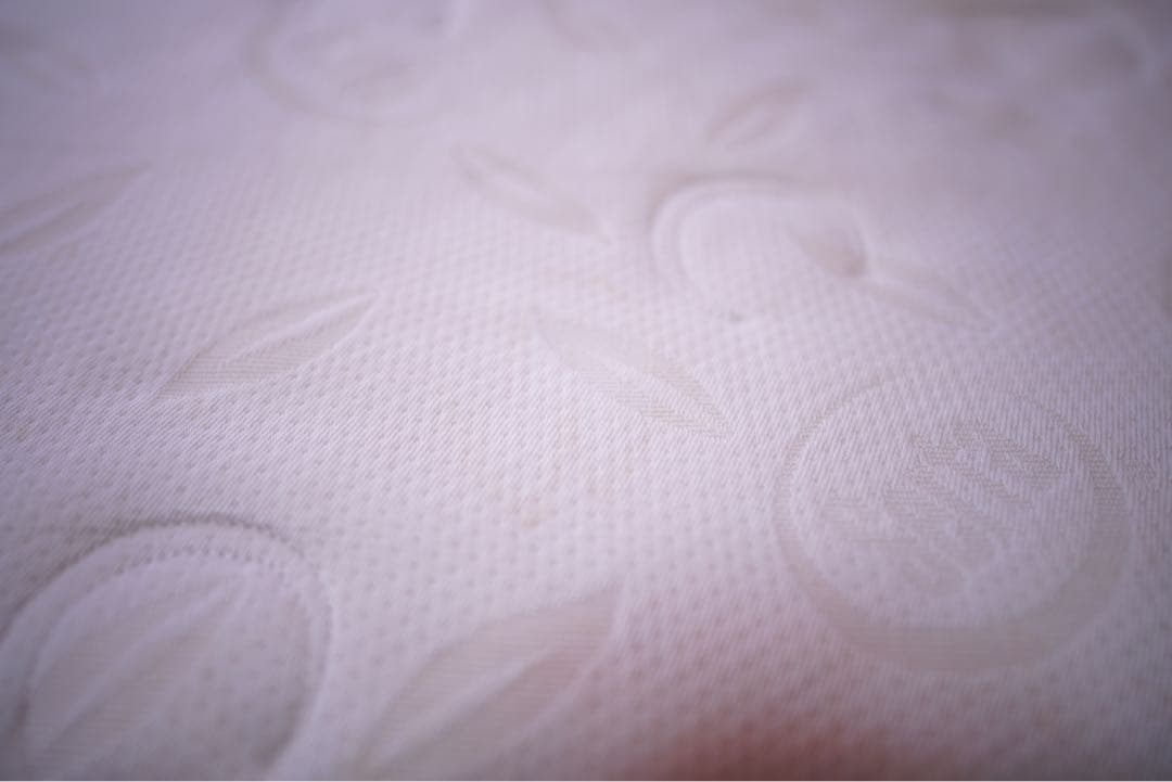 Camel サータ パーフェクトスリーパー Q1サイズ 定価20万円超