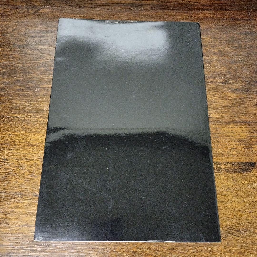 PUNITIONS LOIC DUBIGEON ロイック デュビジョン