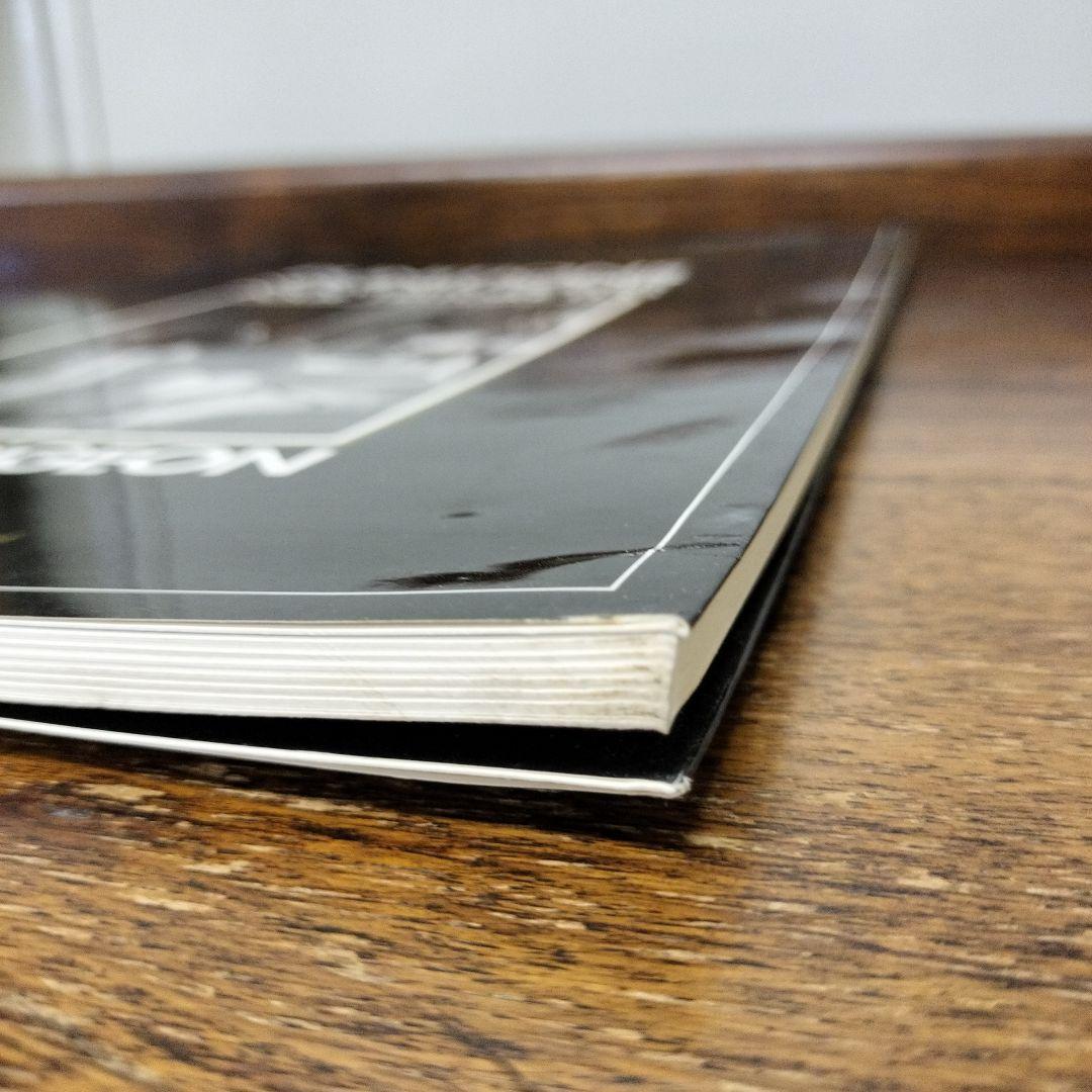 PUNITIONS LOIC DUBIGEON ロイック デュビジョン