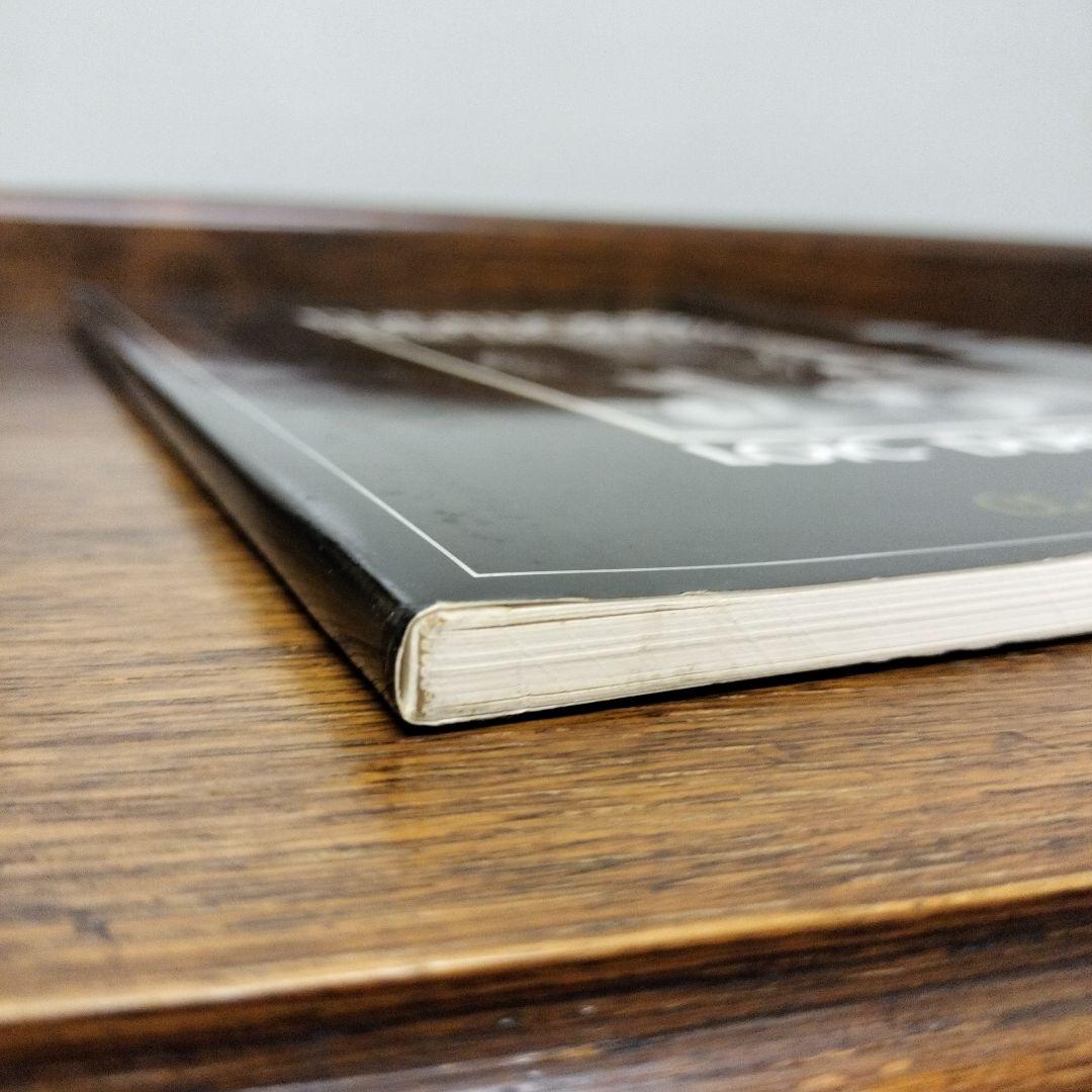 PUNITIONS LOIC DUBIGEON ロイック デュビジョン