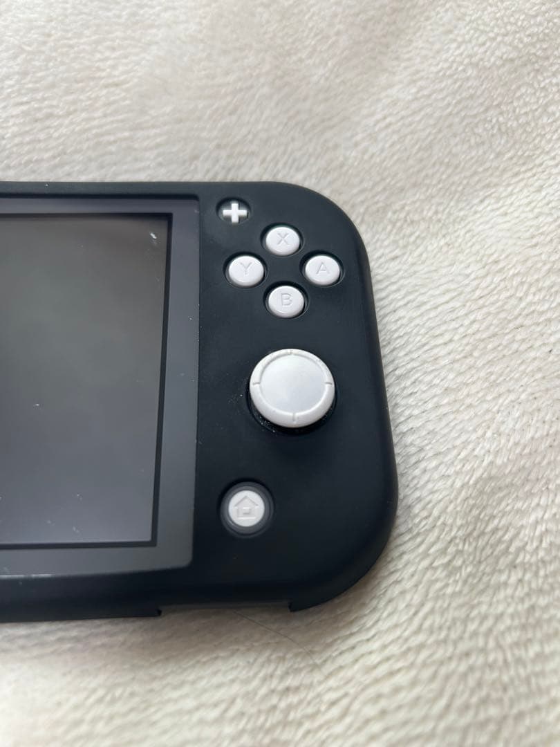 Nintendo Switch Lite グレー ケース付き
