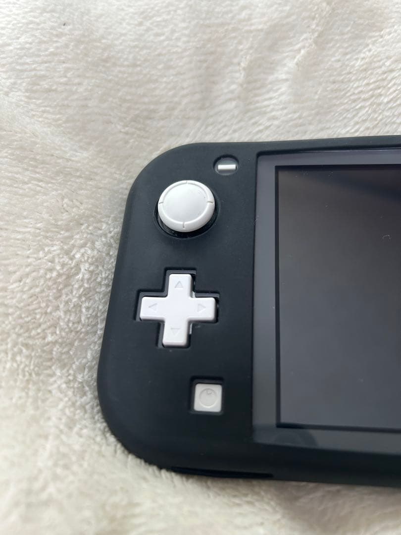 Nintendo Switch Lite グレー ケース付き