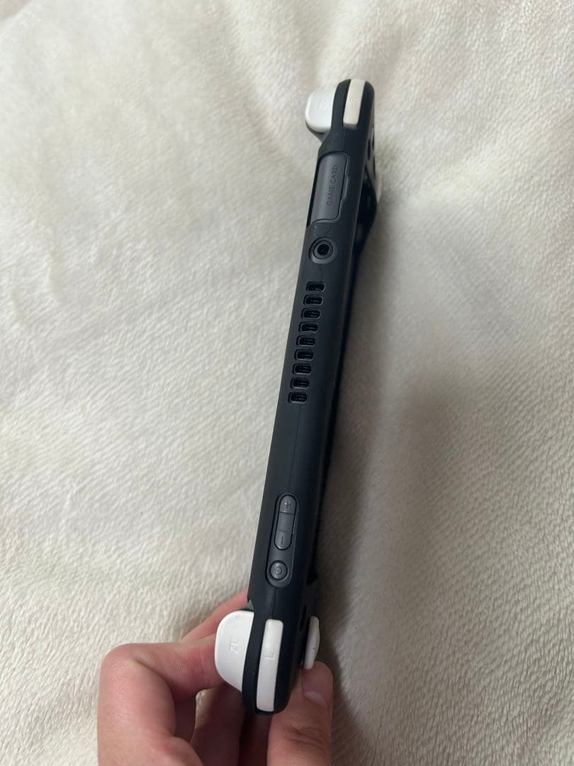 Nintendo Switch Lite グレー ケース付き