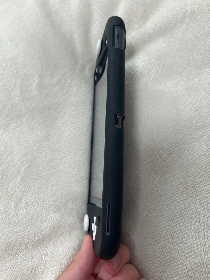 Nintendo Switch Lite グレー ケース付き