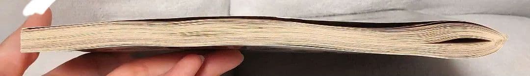 【レア】池田エライザ @elaiza_ikd level18 ムック本 希少品