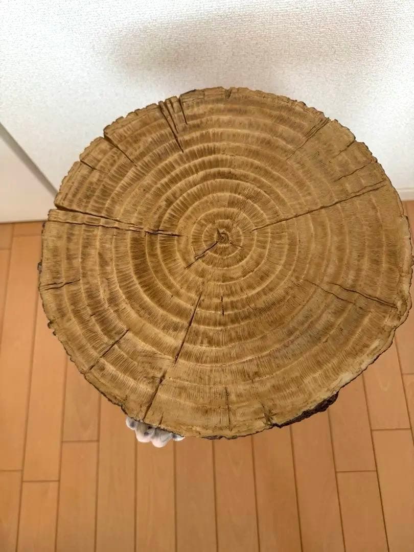 KARE アニマルサイドテーブル ジャックラッセルテリア　美品