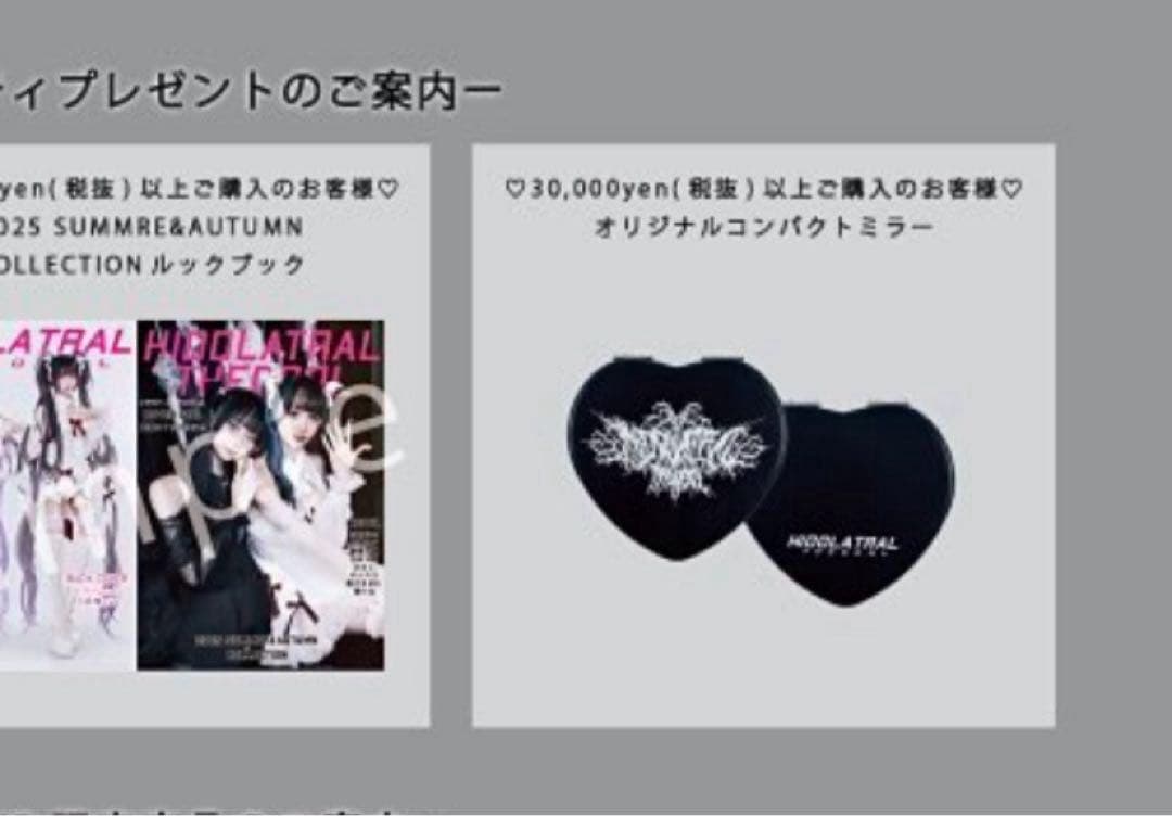 【HIDOLATRAL THEODOL】ローズレースクリノリンスカート ブラック