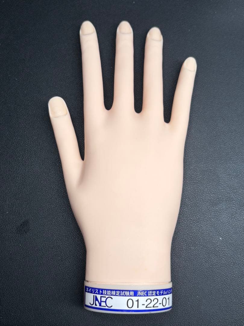 シリコン ネイル　ハンドくん　検定用ハンド　練習用手モデル