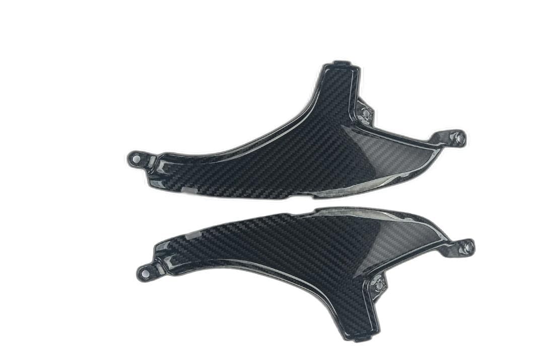 NINJA H2 SX/SE/PLUS カーボン リア フェアリング インサート