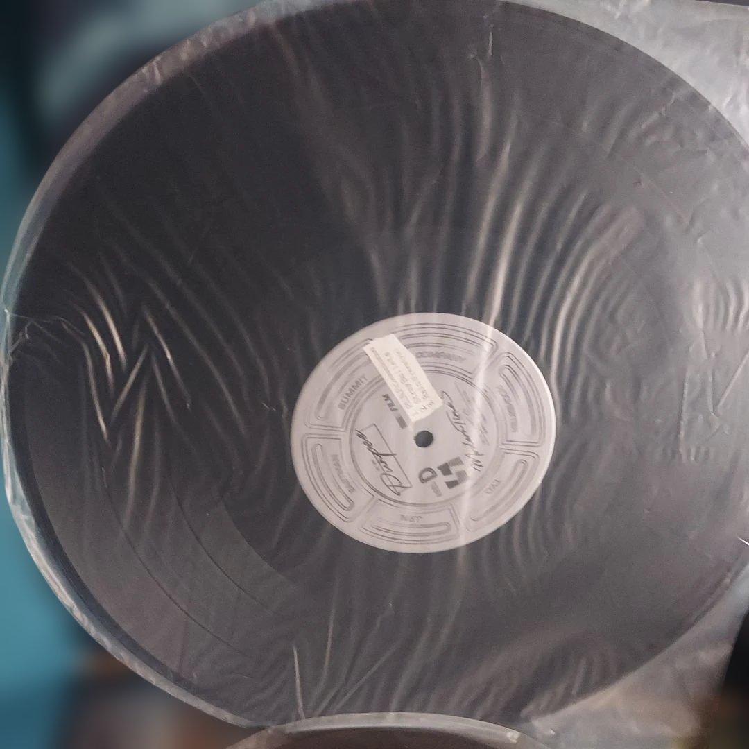 Punpee MODERN TIMES レコード