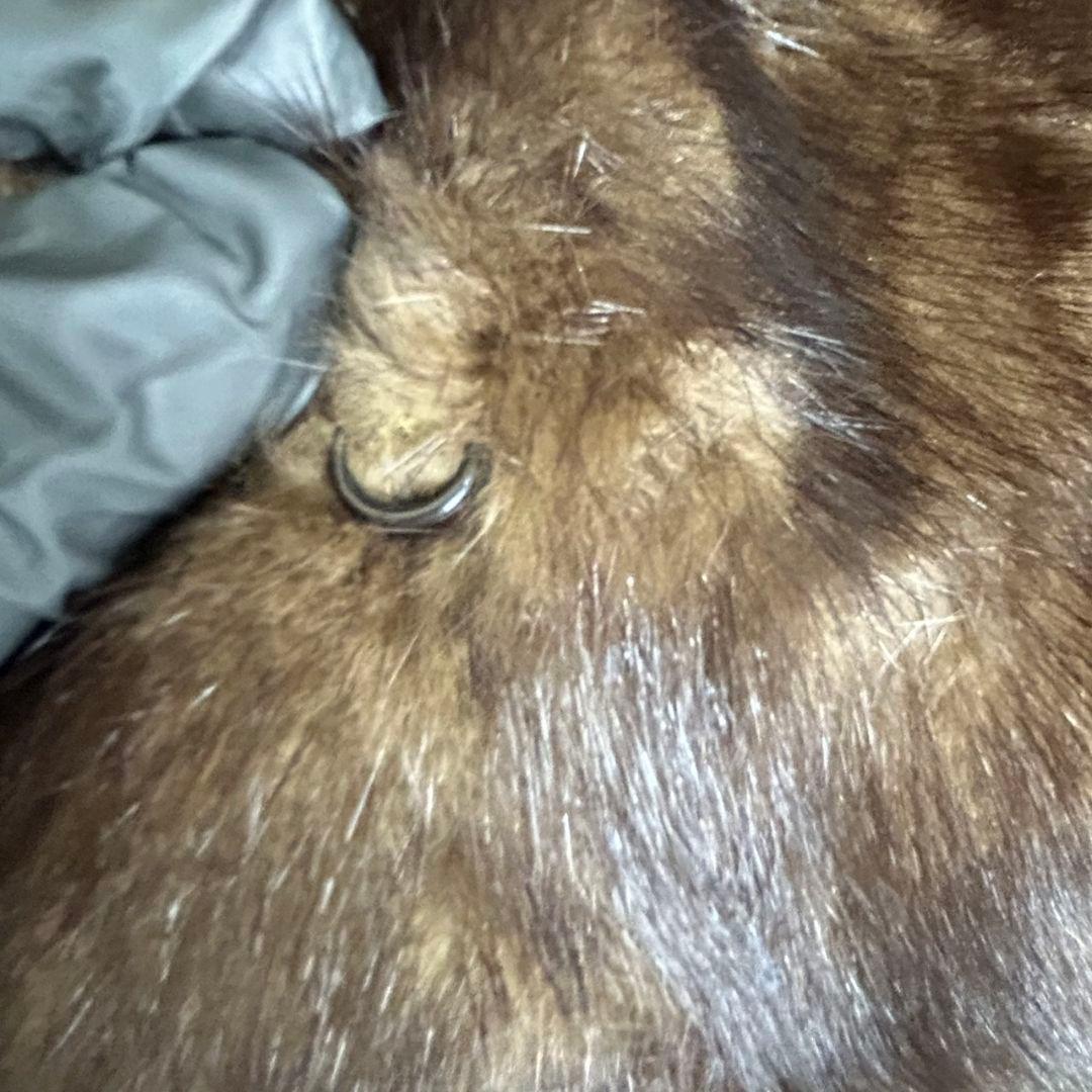 SAGA MINK 銀タグブラウンファーコート13号