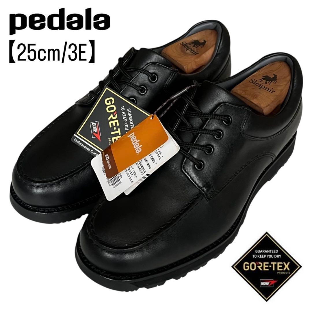未使用 アシックス 25 ペダラ レザー ゴアテックス ウォーキング 3E 黒