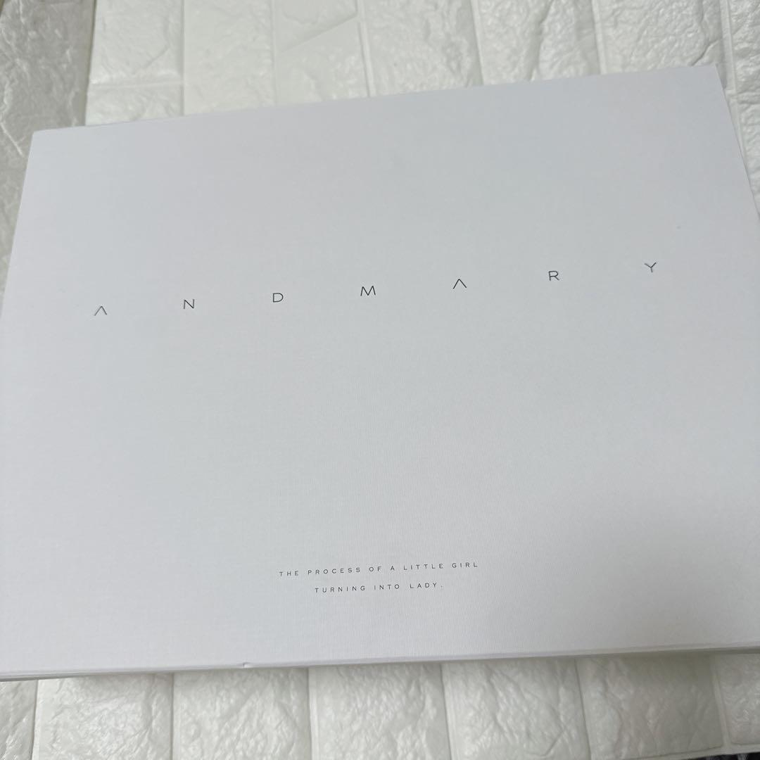 本日限定　Valentine ribbon leather bag