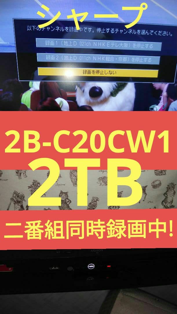 2TB/2B-C20CW1/実動/二番組同録/4k再生可/純リモ/訳有格安設定