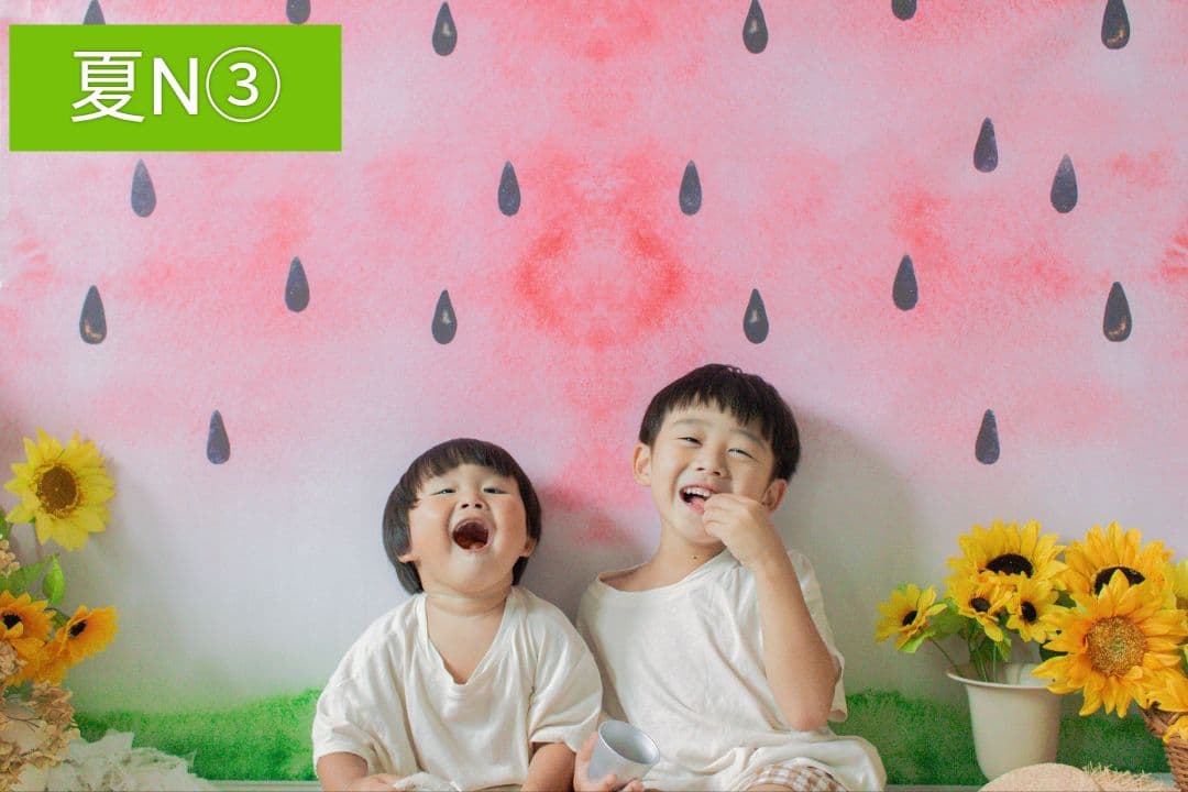 背景布×6+1枚　ペット、サロン撮影用フォトブース　トリミングチョーカー販売中