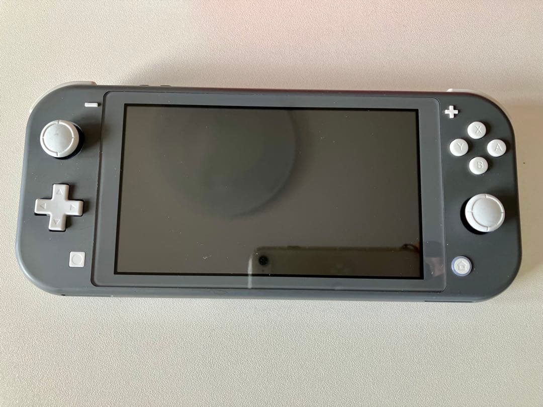 Nintendo Switch ライト　グレー　本体　充電器　lite