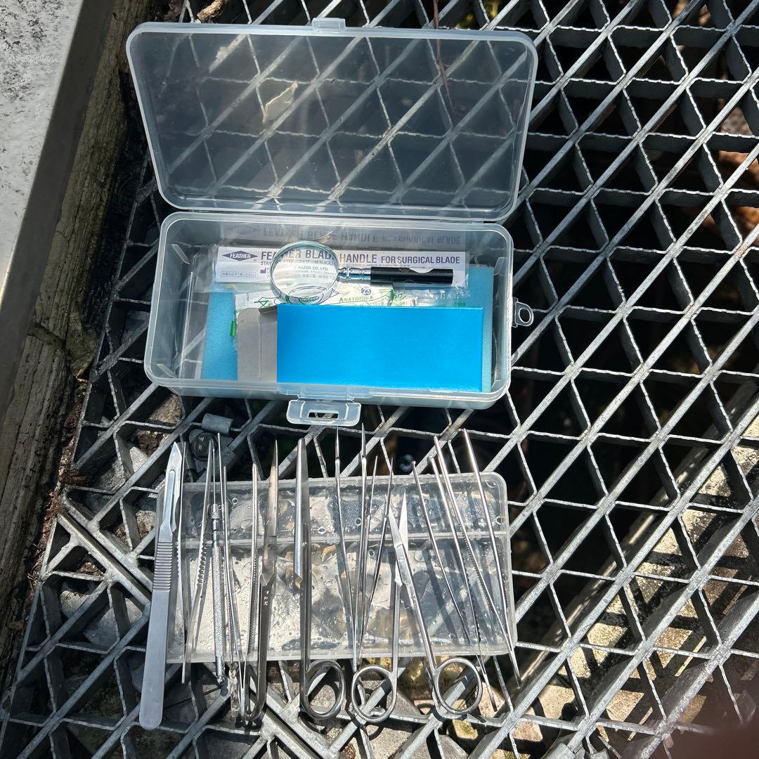 医学部　解剖道具　スガワラ　洗浄消毒済み