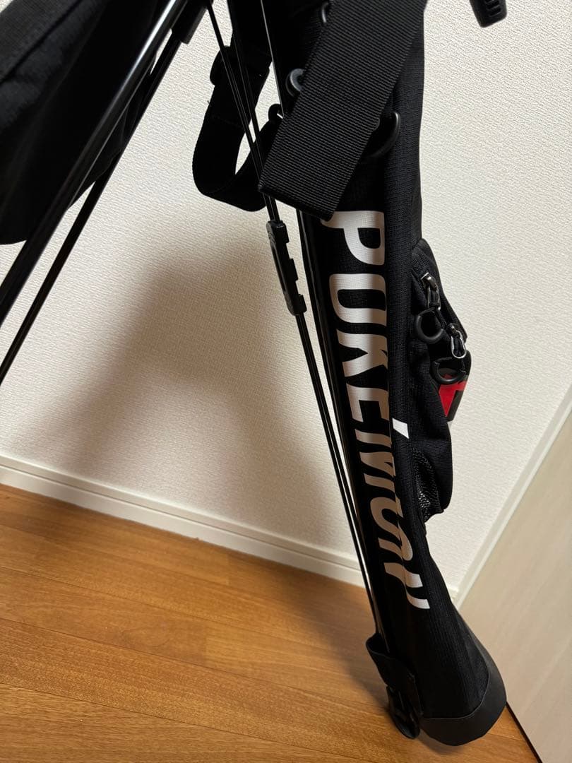 雪*の様 NEW ERA ニューエラ　ピカチュウ ポケモン　スタンド式バッグ