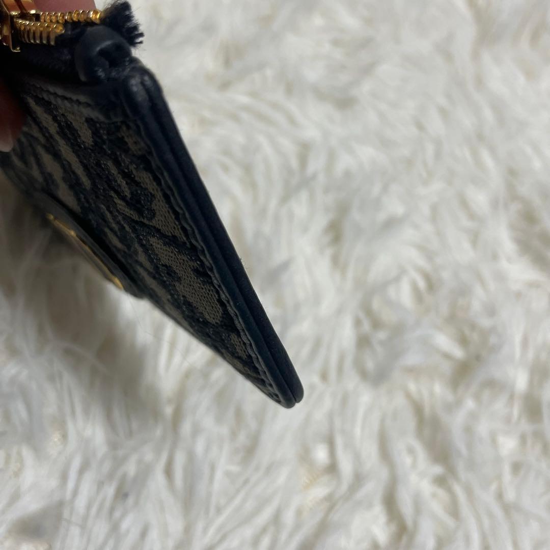 Dior ディオール　ケース　キーリング付き　トロッター