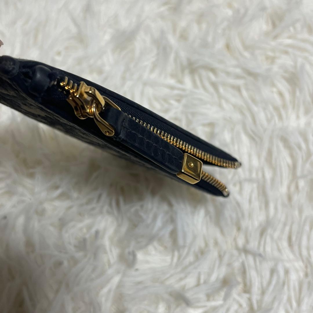 Dior ディオール　ケース　キーリング付き　トロッター