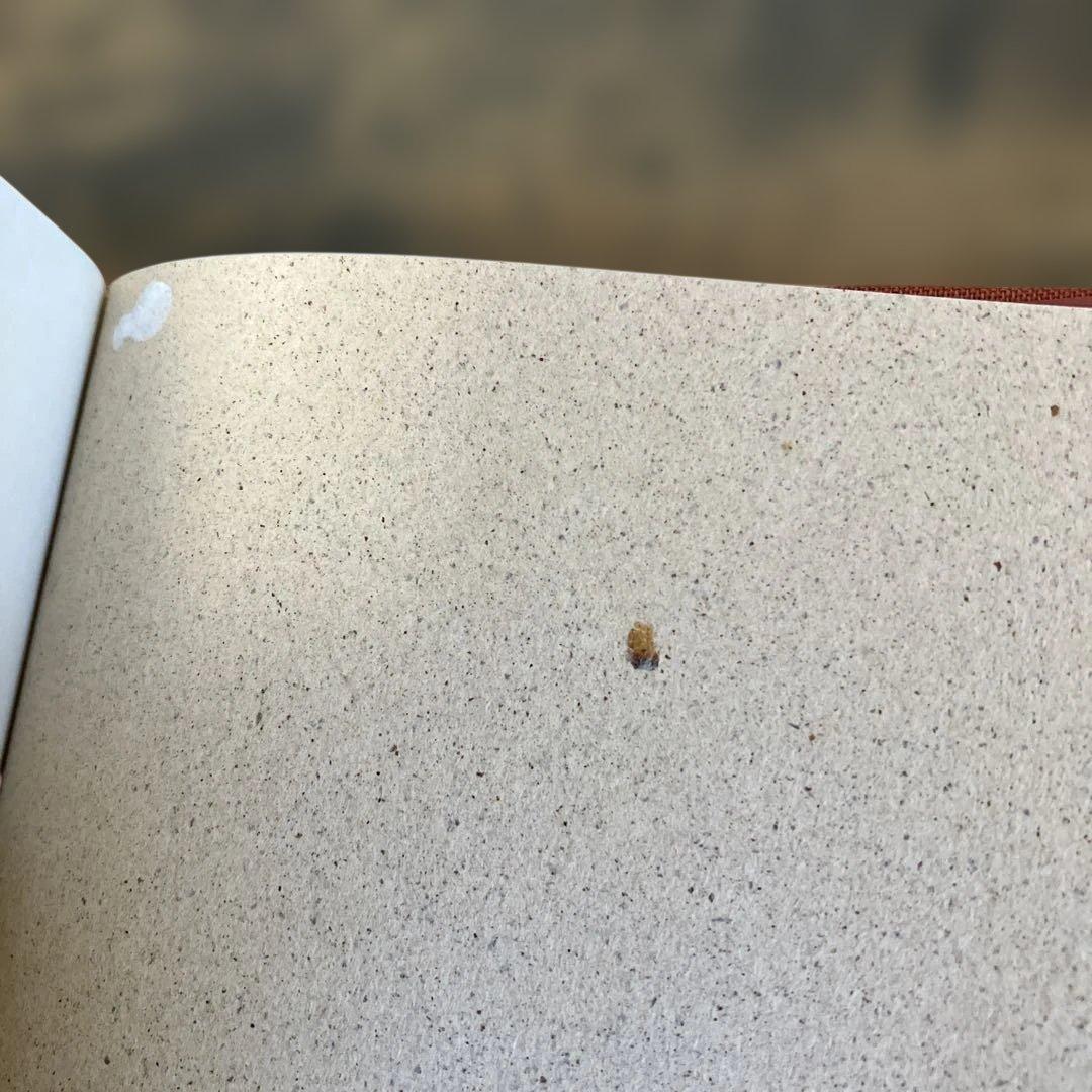 旧約聖書 全15巻 全巻　旧約聖書翻訳委員会訳　岩波書店　カトリック