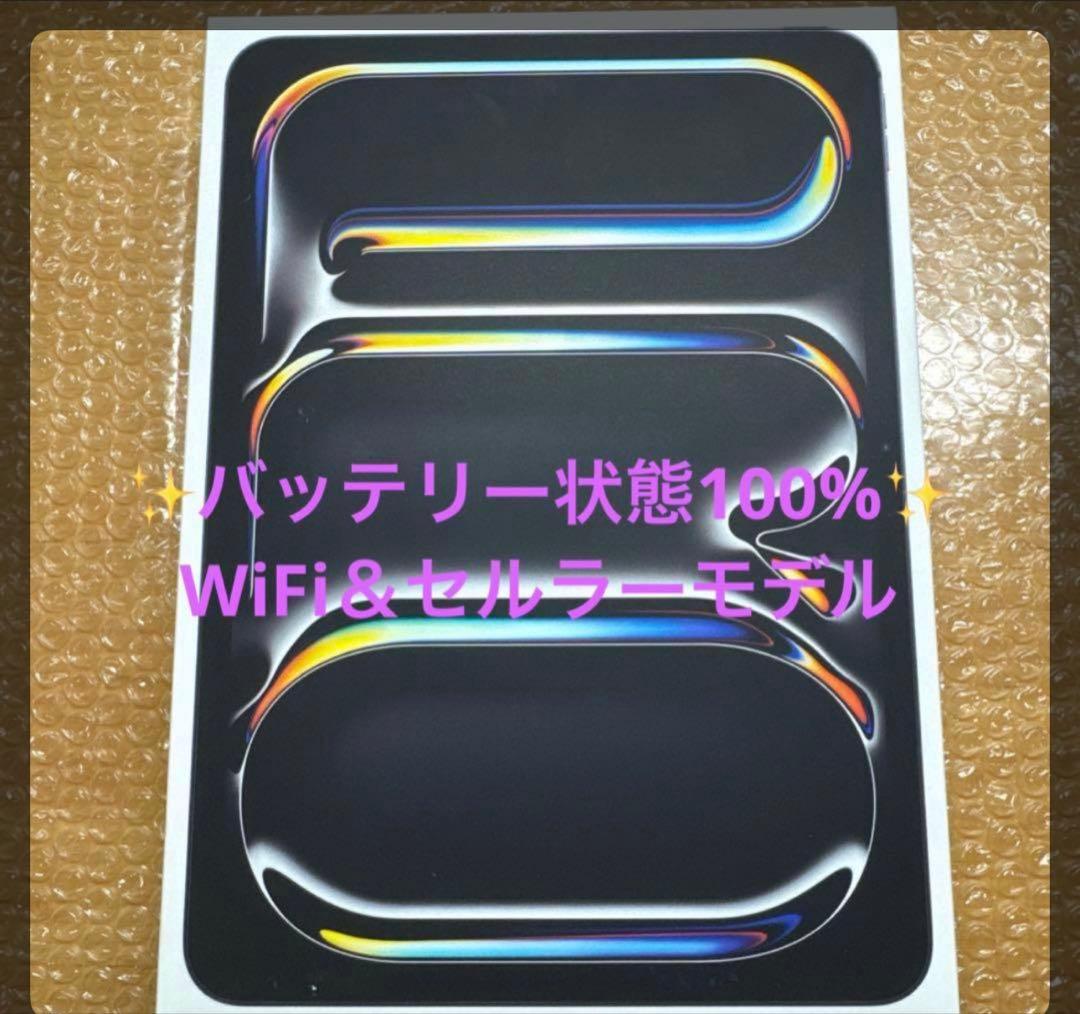 iPad Pro 11インチ(M4)Wi-Fi＋Cellular 256GB