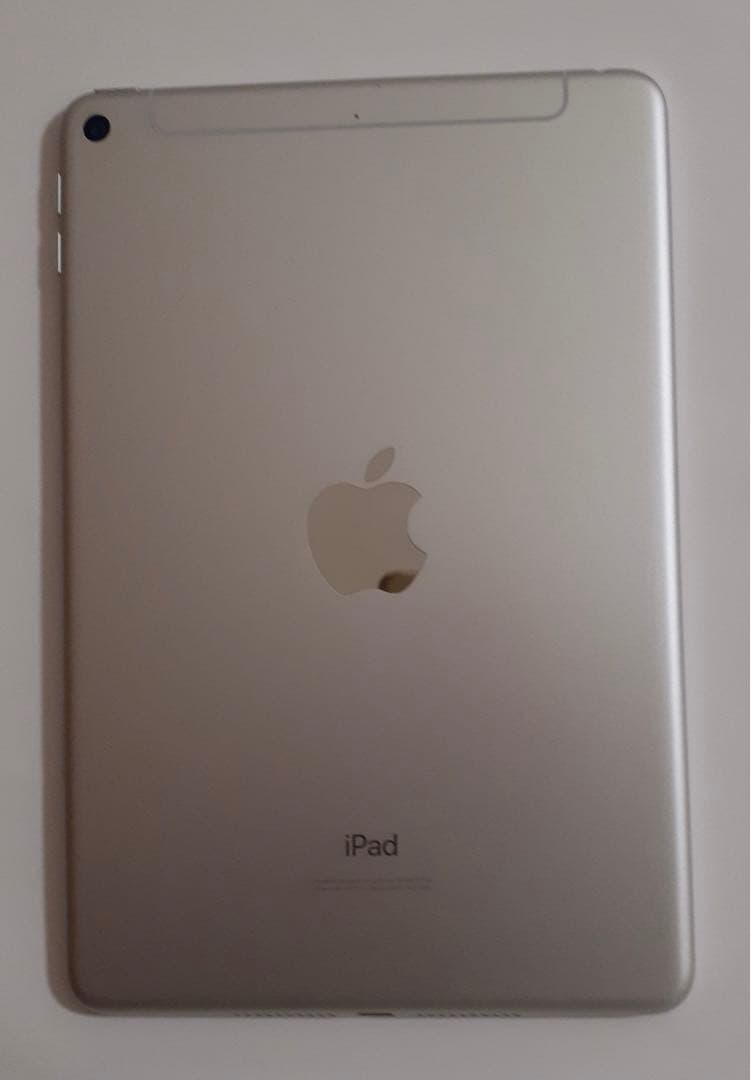 iPad mini第五世代 256GBシルバー Wi-Fi + cellular