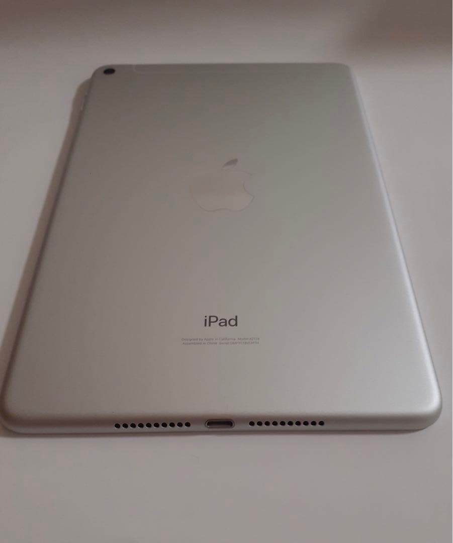 iPad mini第五世代 256GBシルバー Wi-Fi + cellular