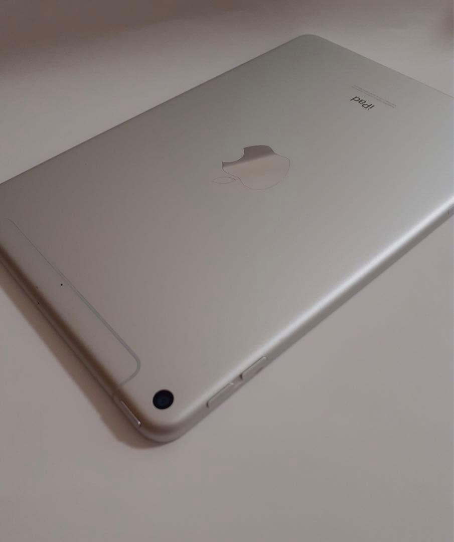 iPad mini第五世代 256GBシルバー Wi-Fi + cellular